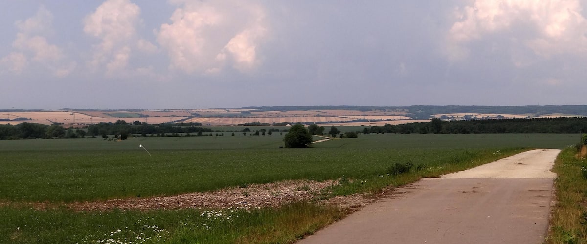 A rural landscape with a dirt road, fields, and distant hills under a cloudy sky.