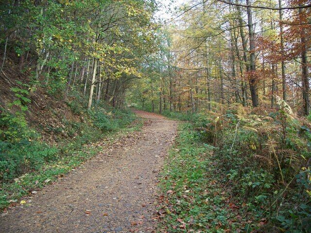 Path to Nidd Gorge Path leading down from the car park.