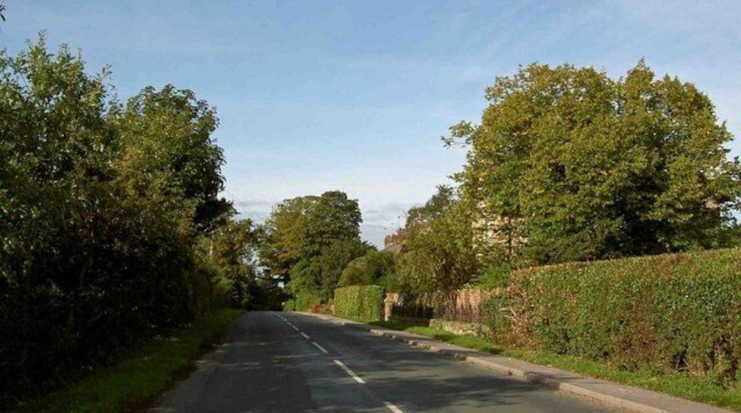 Leaving Scotton on Havikil Lane