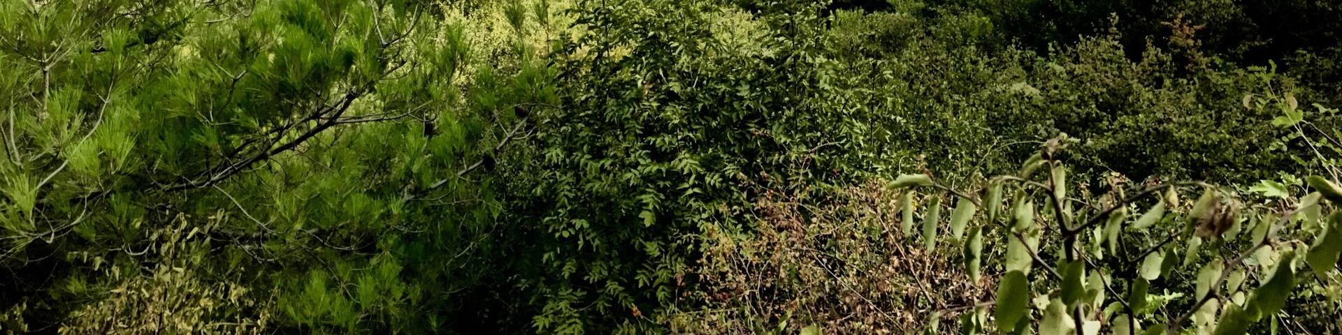 Beautiful country, nice people. I like this country...