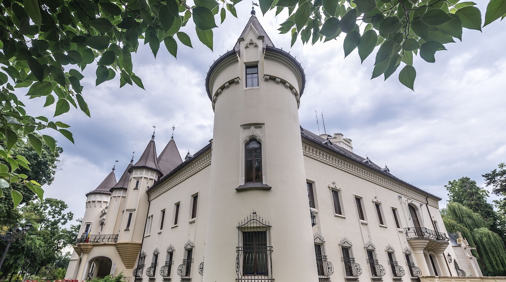 Karolyi castle in Carei town, Romania