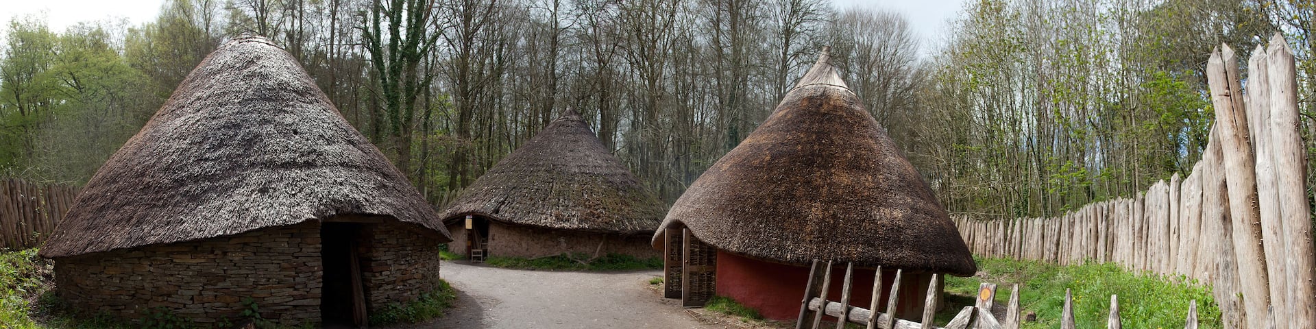 Thatched-roof huts in a forested area with a dirt path.