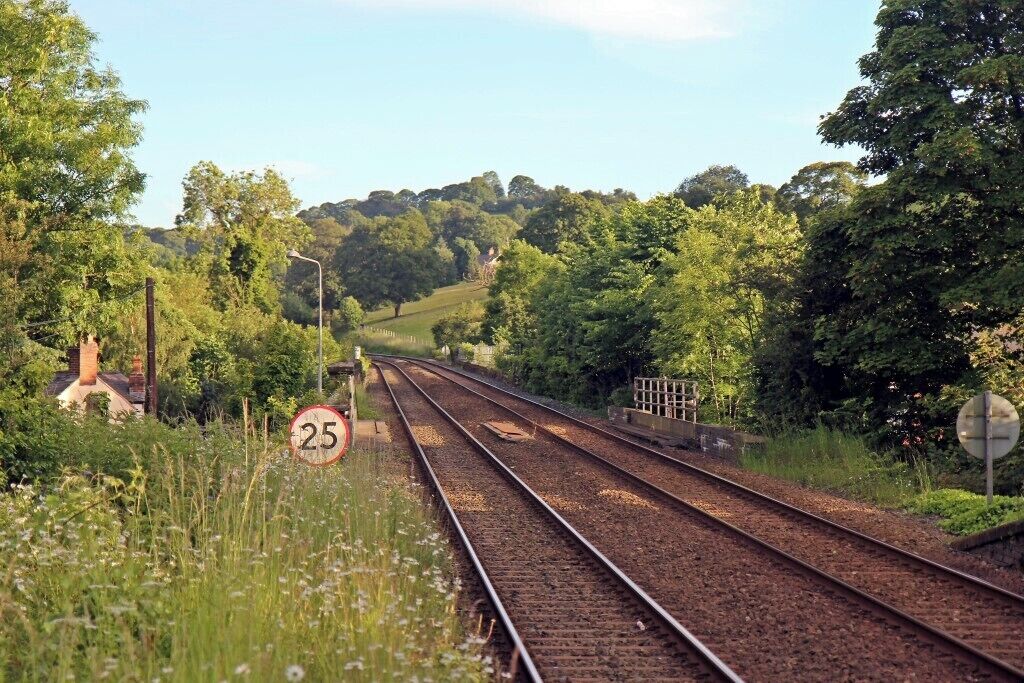 Railway tracks with a speed limit sign of 25, surrounded by lush greenery and trees.