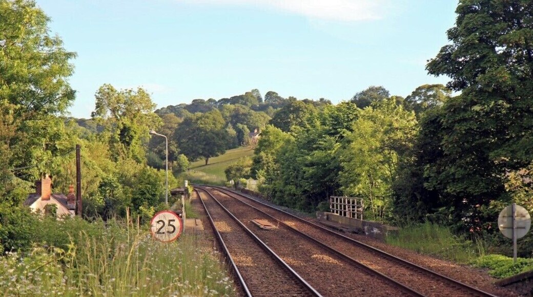 Railway tracks with a speed limit sign of 25, surrounded by lush greenery and trees.