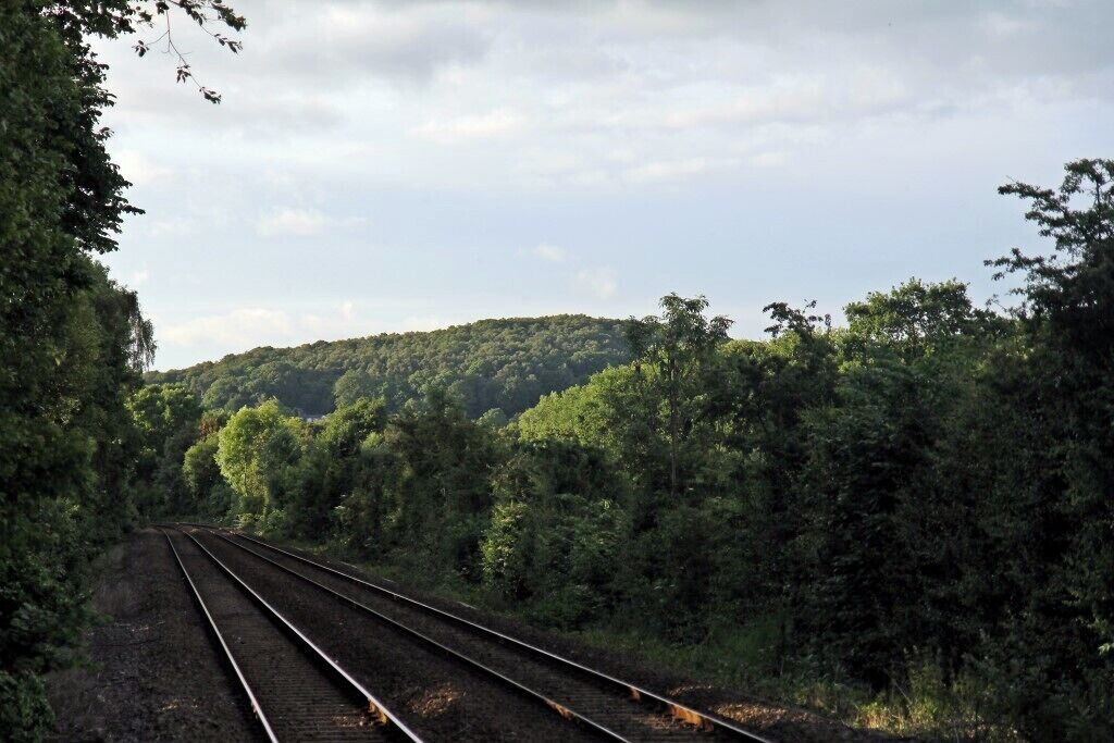 Railway tracks surrounded by dense forest and hills.