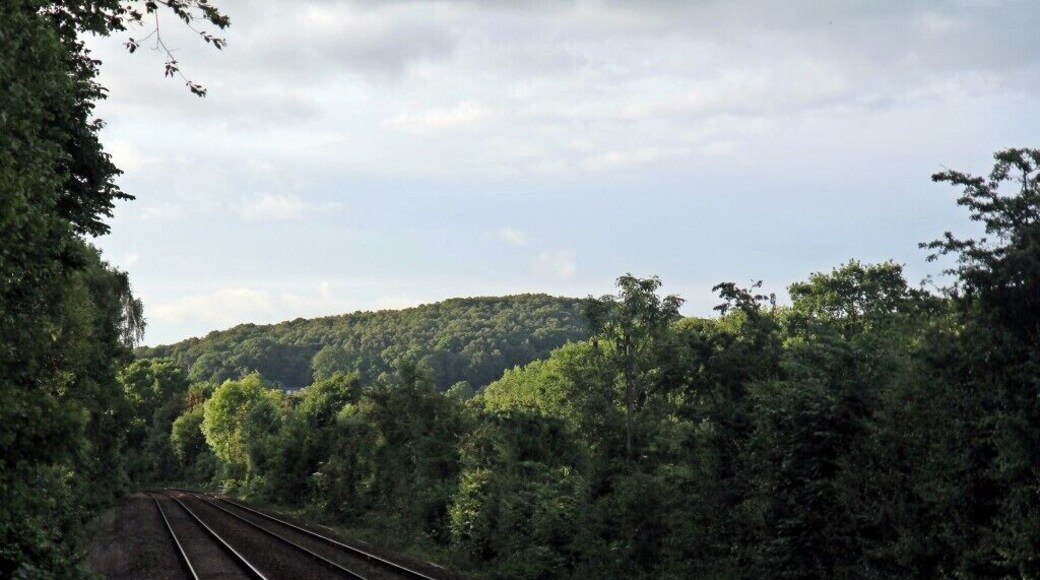 Railway tracks surrounded by dense forest and hills.
