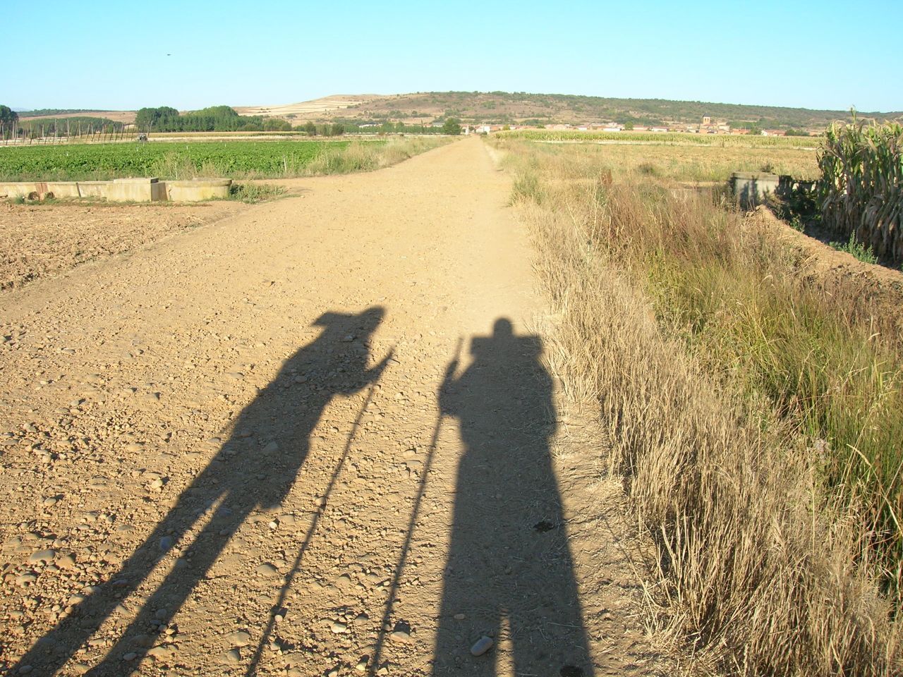 Al salir de Hospital de Órbigo, hay dos tramos posibles. Uno es 1 kilómetro más corto y transcurre paralelo a la N-120. El otro tramo, el que muestra la foto, atraviesa Villares de Órbigo y Santibañez de Valdeiglesias entre pistas y caminos. Vuela hasta esta localización (Necesitas Google Earth)