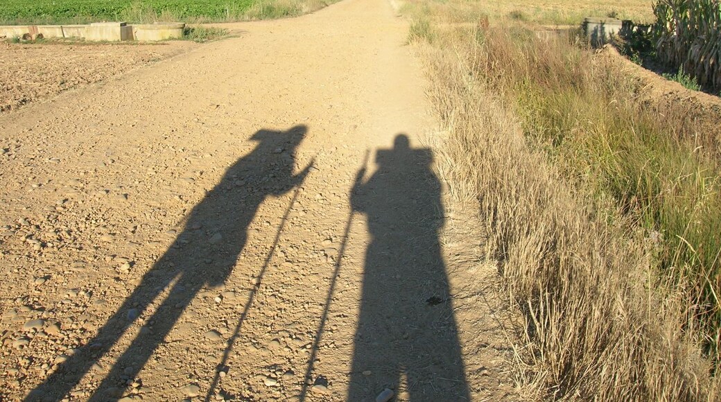 Al salir de Hospital de Órbigo, hay dos tramos posibles. Uno es 1 kilómetro más corto y transcurre paralelo a la N-120. El otro tramo, el que muestra la foto, atraviesa Villares de Órbigo y Santibañez de Valdeiglesias entre pistas y caminos. Vuela hasta esta localización (Necesitas Google Earth)