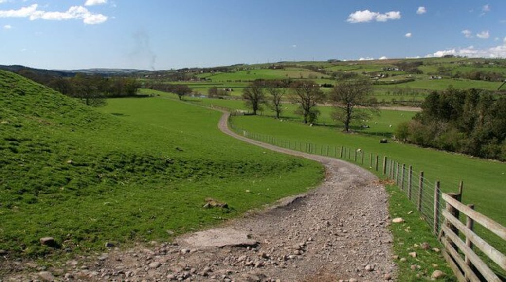 Willimoteswick Farm Land at Willimoteswick Farm with the River South Tyne in the background.