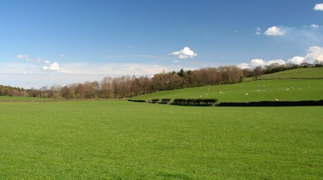 Broad Wood View across pasture at Broad Wood.