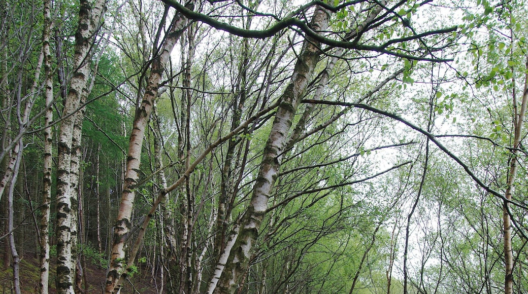 2015 - Hadrian's Wall Trip