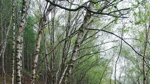 2015 - Hadrian's Wall Trip