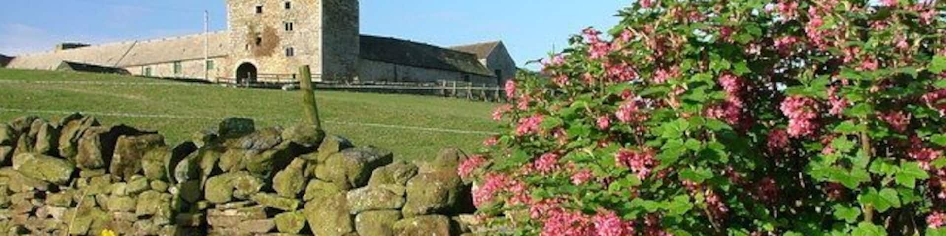 A stone wall, a pink flowering bush, and a historic building.