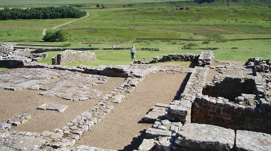 Praetoritum (Commandant's House) at Housesteads Roman Fort