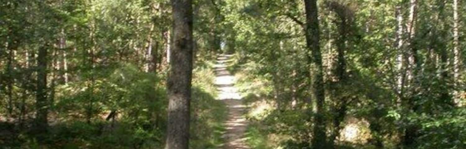 Broadley Inclosure, track Track leading from South-east to North-west, thus producing a diamond-like grid.