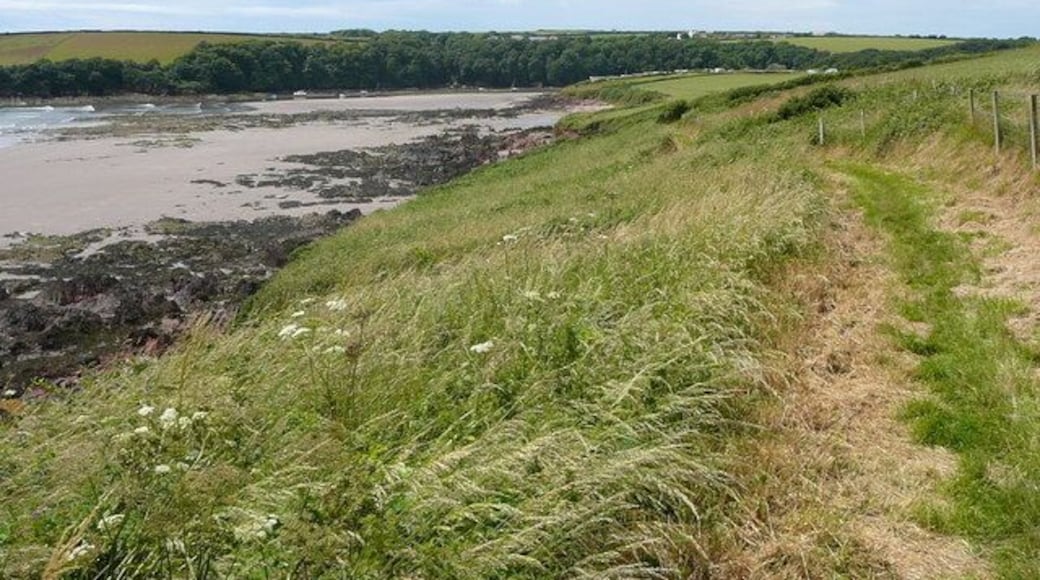 On the Pembrokeshire Coastal Path at Sandy Haven, Herbrandston