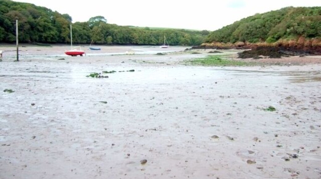Looking up Sandyhaven Pill (low water)