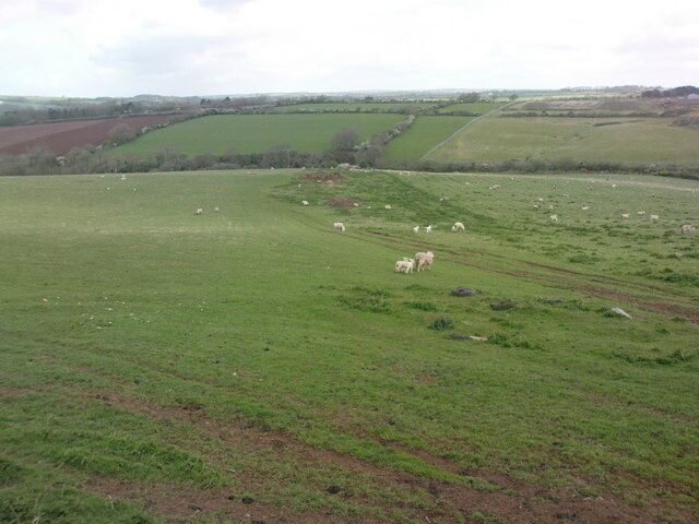 Grazing land by Murco Refinery