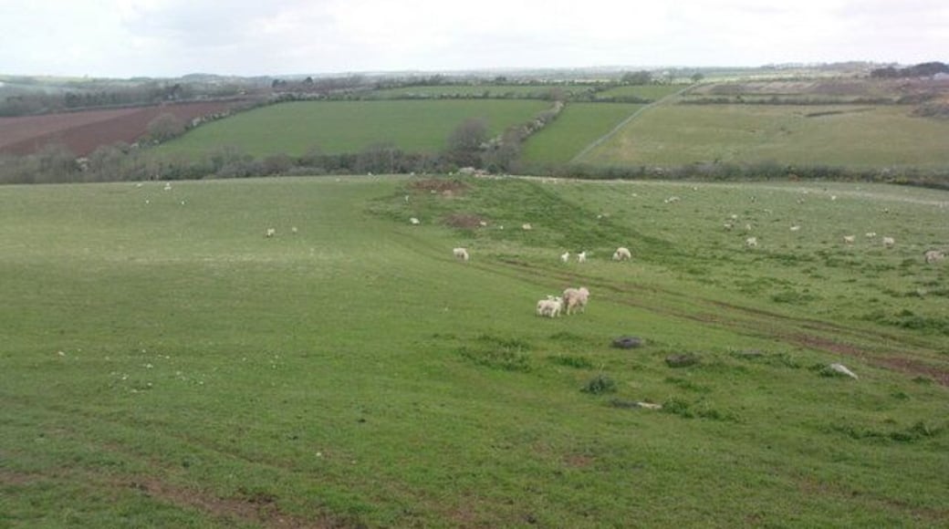 Grazing land by Murco Refinery