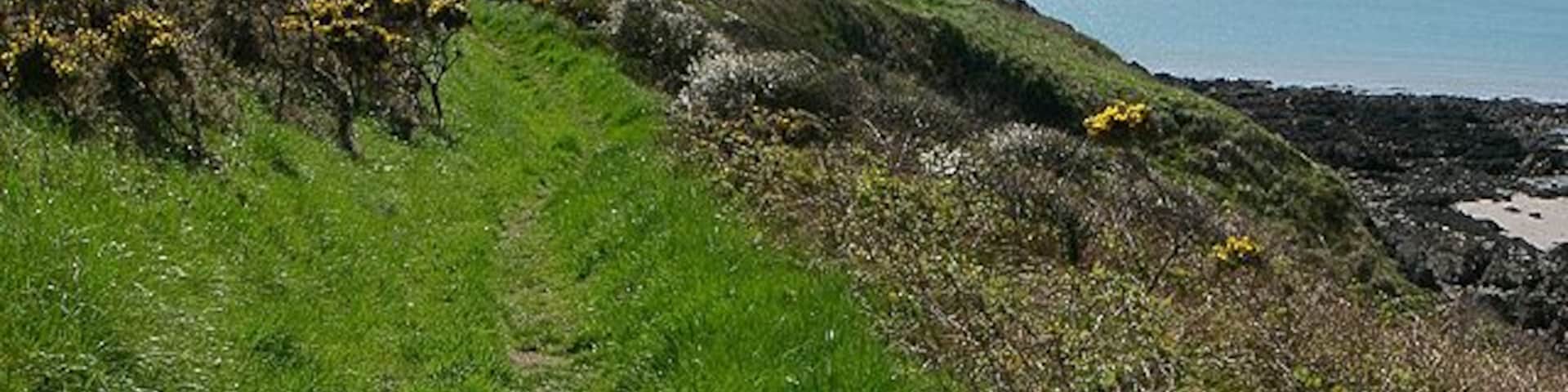 Coast Path. Looking south along the Pembrokeshire coast path. The headland on the horizon is the Angle peninsula.