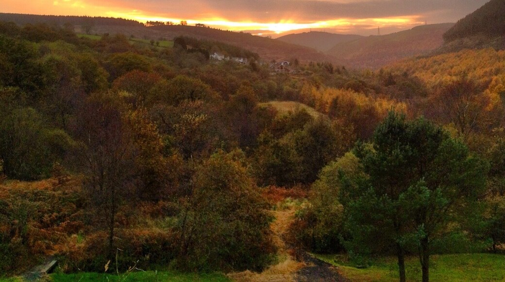 I Live around here. So ask me anything?!