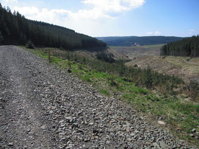 Valley view A view down the Nant Melyn.