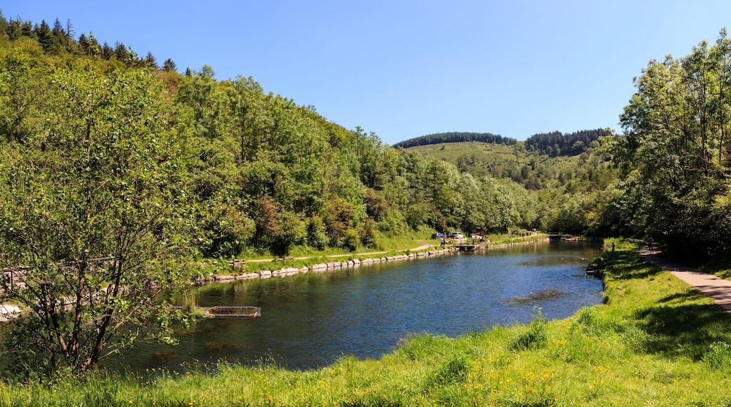 Un río con un puente de madera, rodeado de exuberante vegetación y colinas.