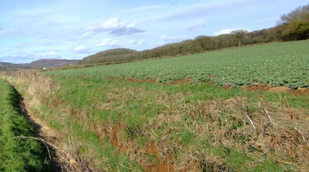 Valley Floor en route to Penhow Castle