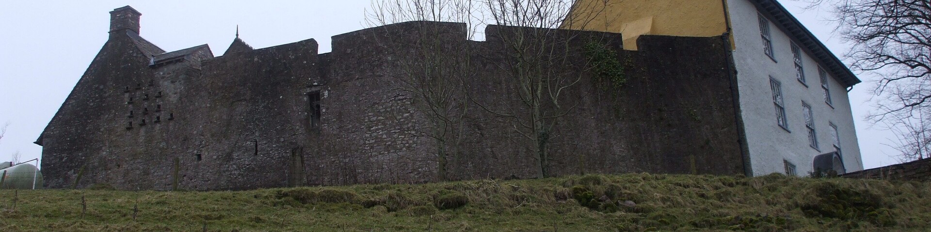 A historic stone castle with a yellow roof, surrounded by a grassy hill.