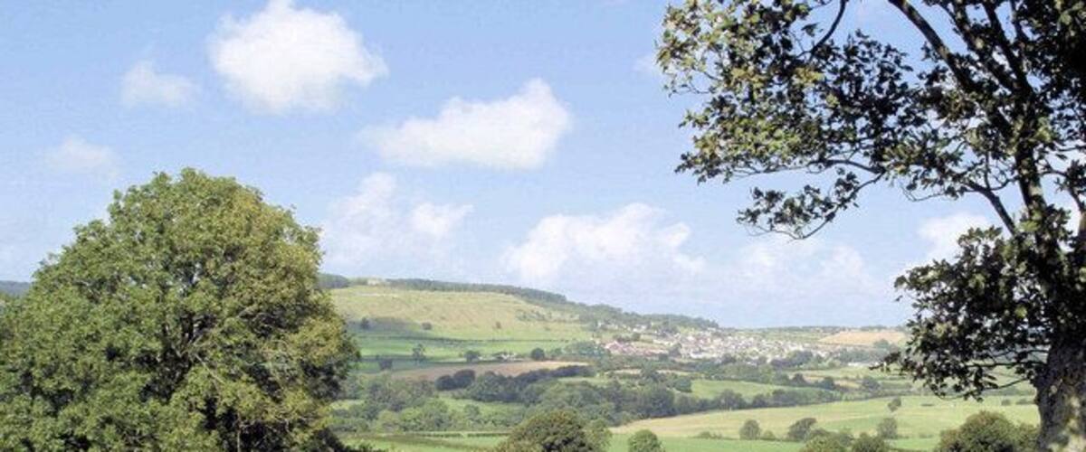 A grassy field with a wooden post, trees, and a distant view of a town.