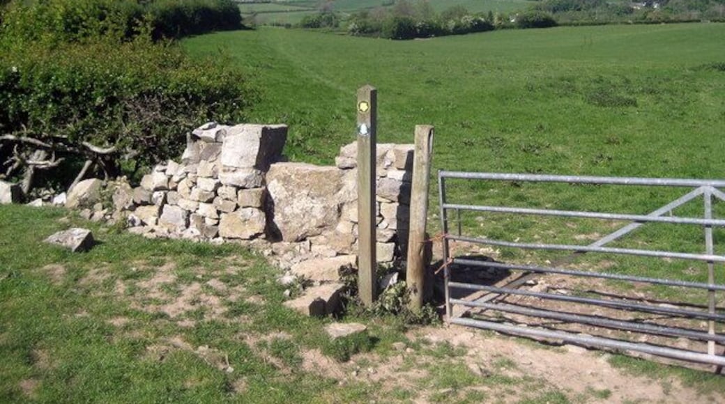 Offa's Dyke Path near Tyddyn-y-cyll For northbound walkers, the trail heading for Bryn Cnewyllyn after just passing through the farm at Tyddyn-y-cyll.