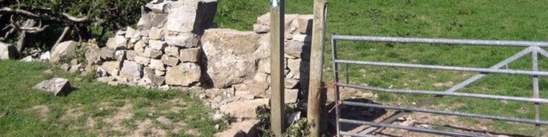 Offa's Dyke Path near Tyddyn-y-cyll For northbound walkers, the trail heading for Bryn Cnewyllyn after just passing through the farm at Tyddyn-y-cyll.