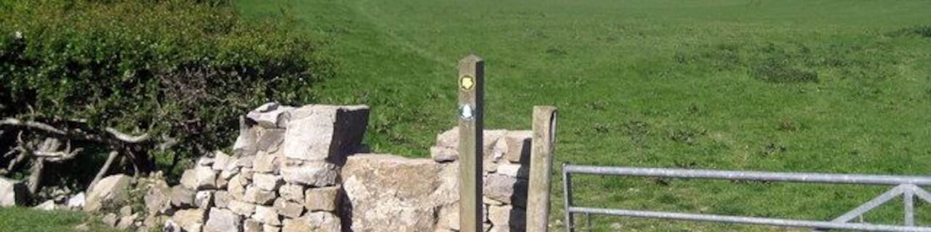 Offa's Dyke Path near Tyddyn-y-cyll For northbound walkers, the trail heading for Bryn Cnewyllyn after just passing through the farm at Tyddyn-y-cyll.
