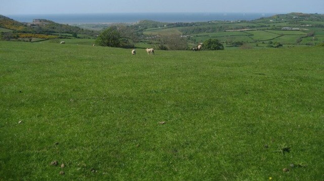 Descending off Marian Ffrith Offa's Dyke National Trail on the flanks of Marian Ffrith. For northbound walkers the end is in sight with the sea clearly visible near Prestatyn.
