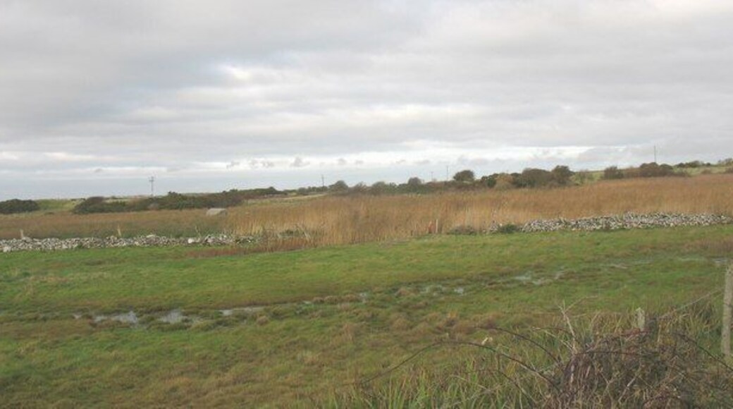 View across sea-marsh and reed beds to the Pentre-traeth passage grave The boulder is considered by some as the capstone of a passage grave.