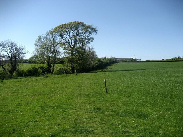A grassy field with trees and a clear sky.