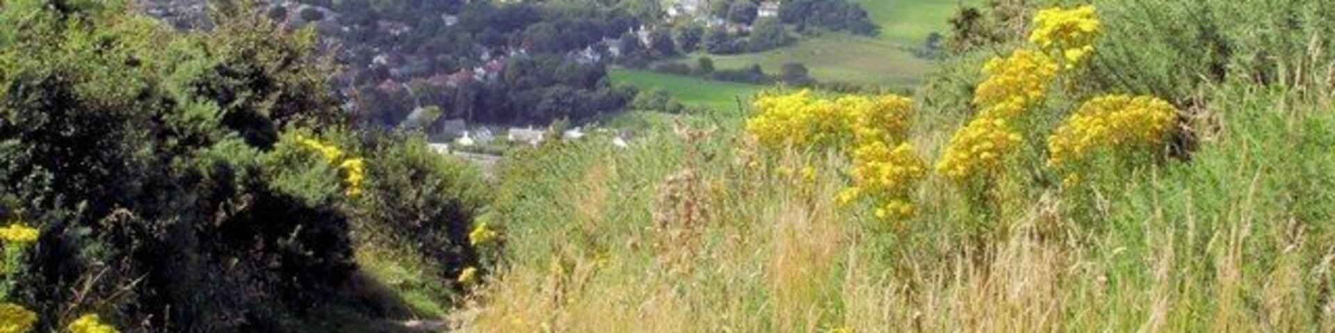 Above Prestatyn on the Offa's Dyke Path Prestatyn, on the Offa's Dyke Path above Coed yr Esgob. Looking west across Llandudno Bay with the Great Orme just visible in the haze in the distance.