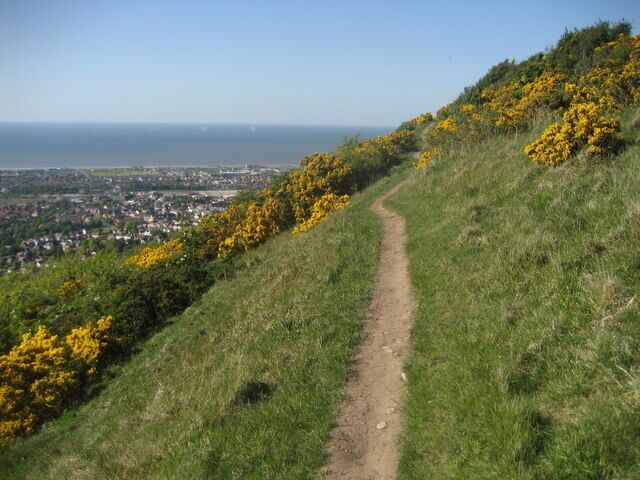A dirt path on a grassy hillside with yellow flowers and a view of a coastal town.