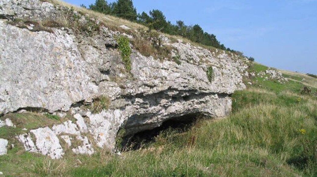 A rocky cliff with a cave entrance.