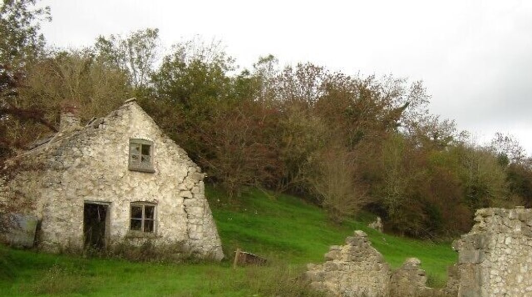 Ruined cottages near Graig Farm