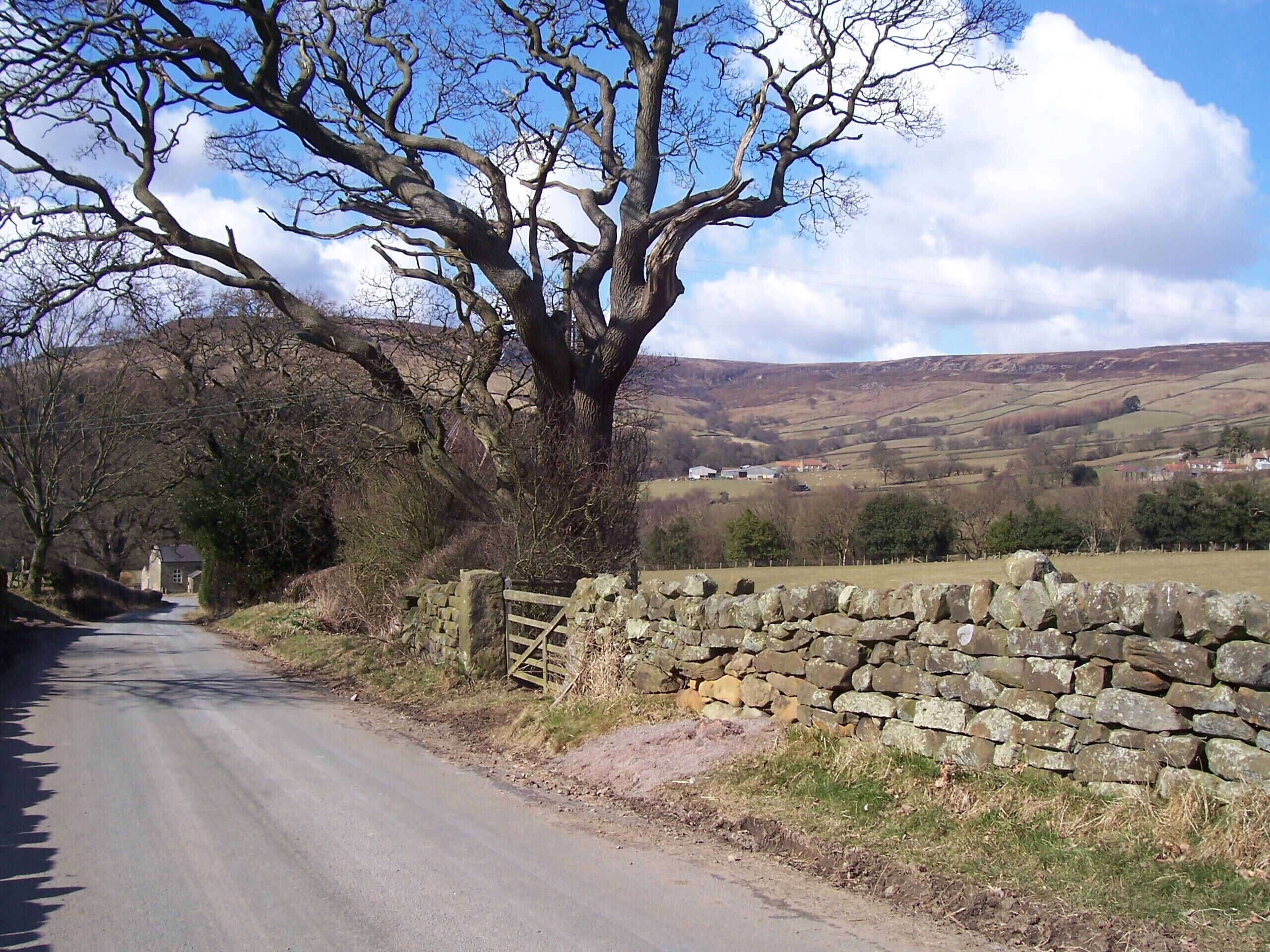 Farndale