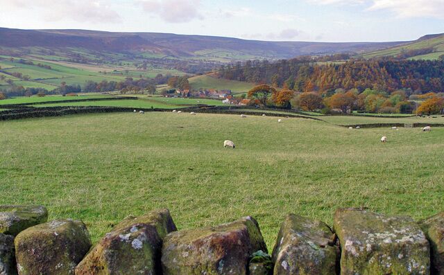 Grazing in Farndale The centre view building is Mackeridge House, and behind it is the village of Church Houses, the proximity being shortened by the camera lens. Humans are outnumbered by sheep in this valley.