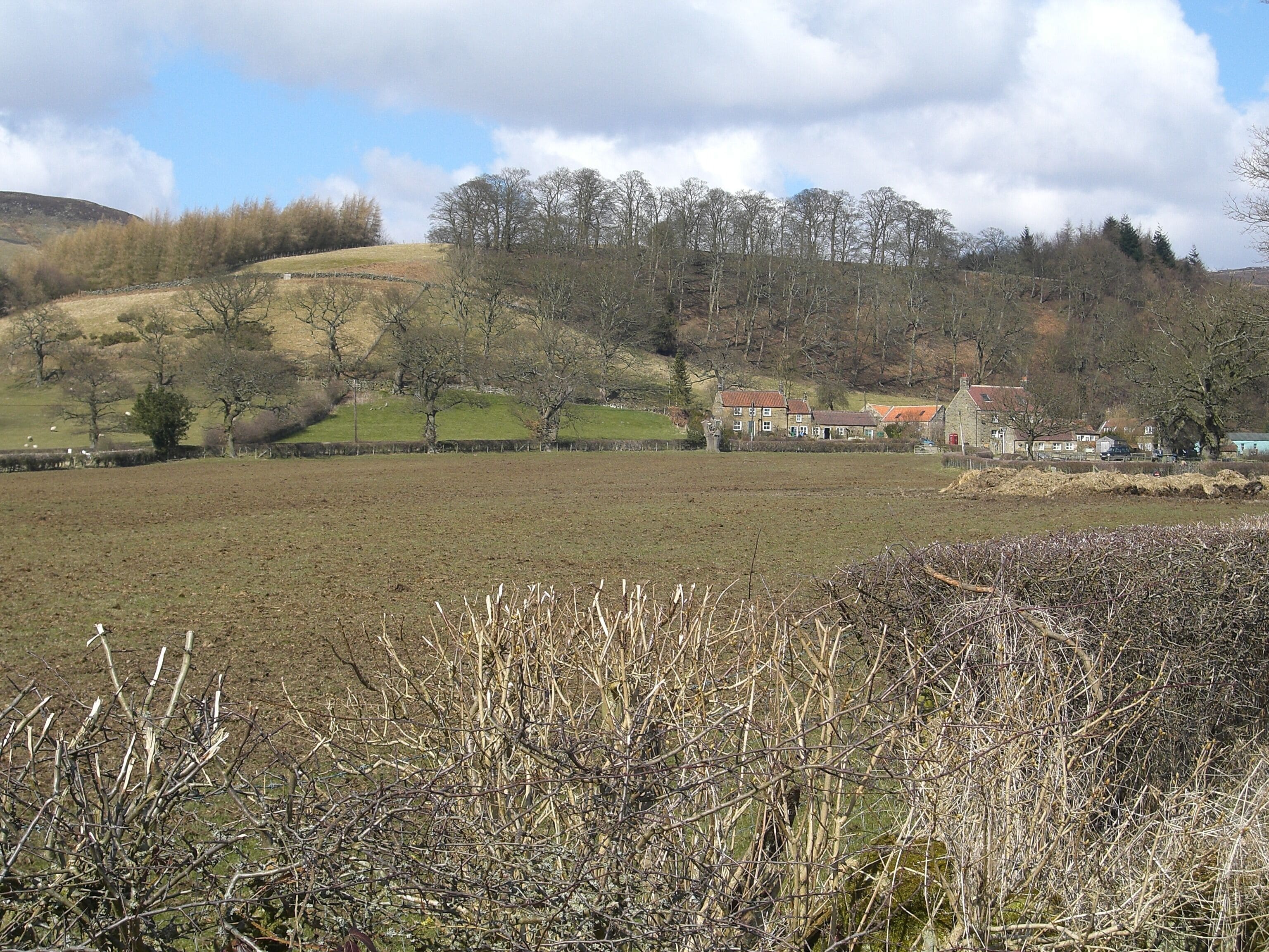 A rural landscape with a field, a stone wall, and a cluster of houses on a hill.