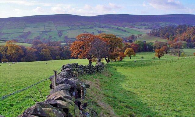 Towards Church Houses By the time of this November walk, the trees had their glorious autumn colours. The fields either side of this wall had grazing, mainly for sheep but also a small dairy herd. The view is west, the village of Church Houses is hidden in the dip behind the trees.