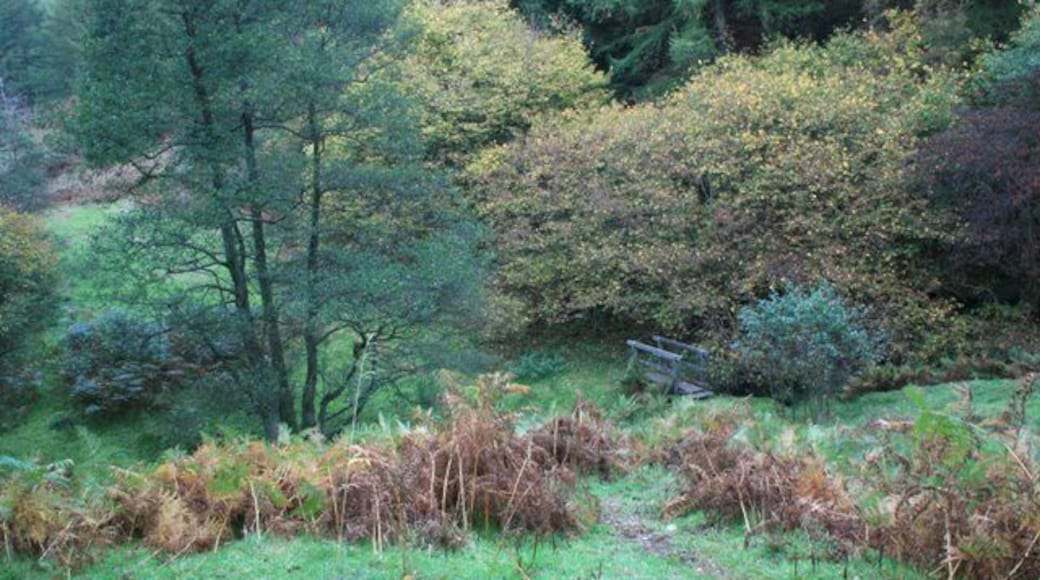 Footbridge, Near Urra Carrying a Public Footpath over a small beck, a tributary of Bilsdale Beck.