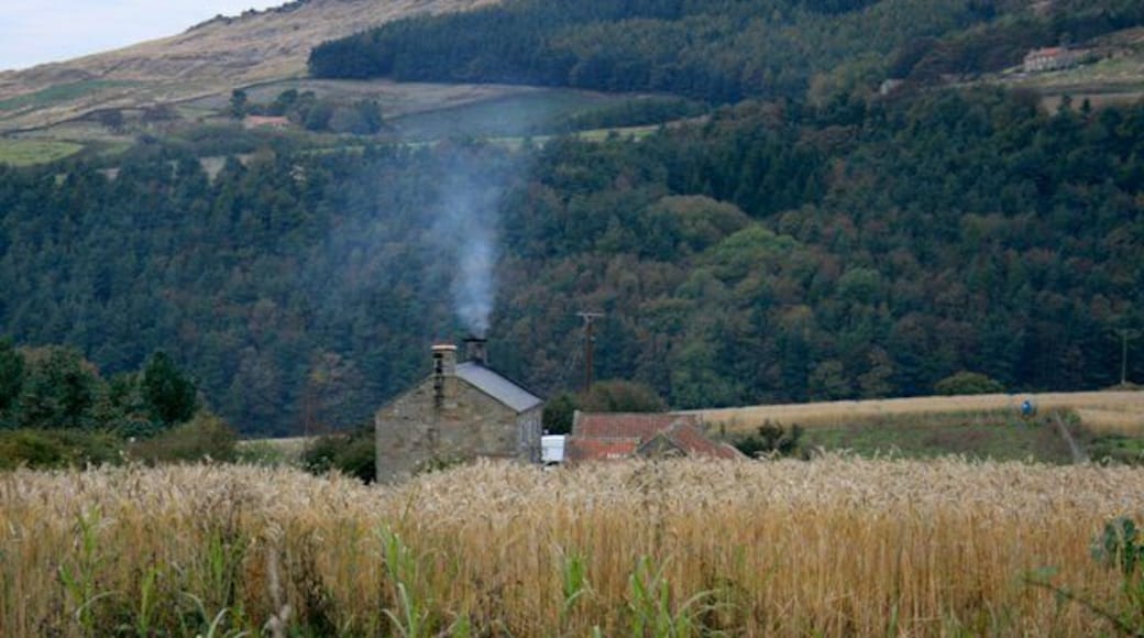 Mount House Farm Overlooking upper Bilsdale.