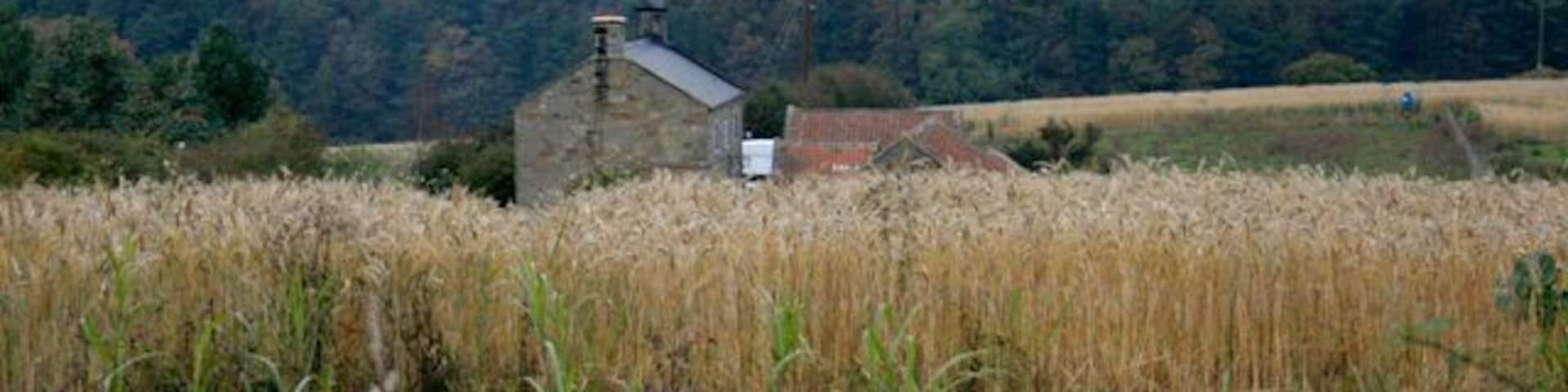 Mount House Farm Overlooking upper Bilsdale.