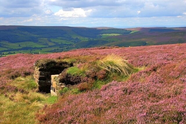 Shooting Butt, Urra Moor