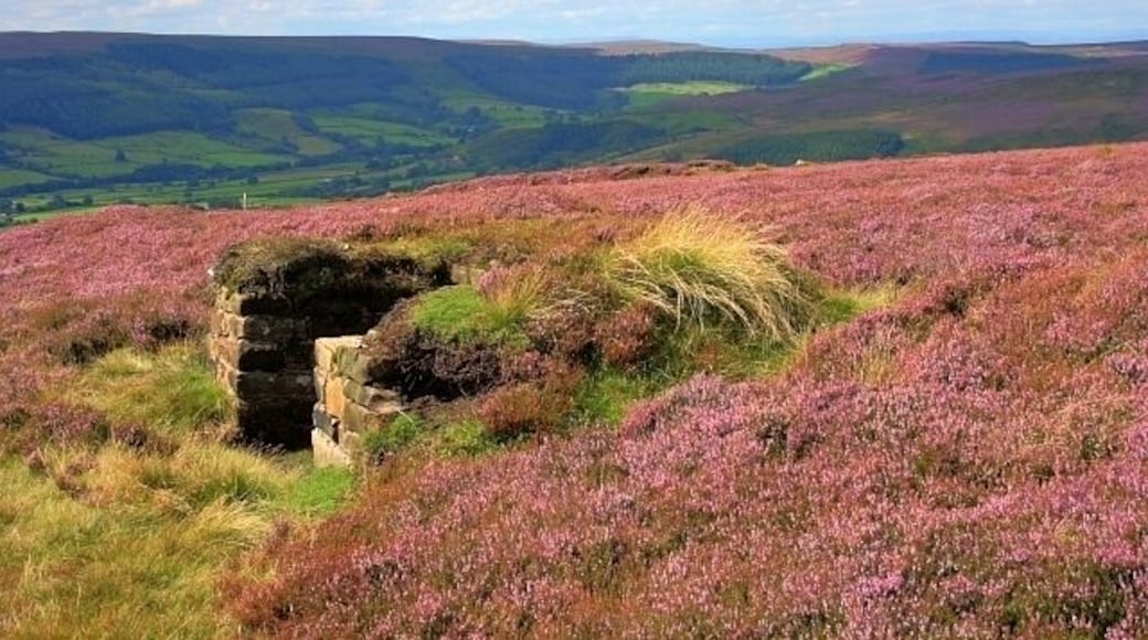 Shooting Butt, Urra Moor