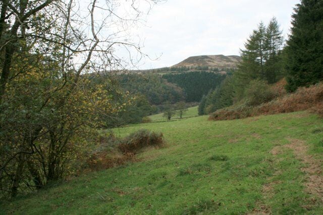 Secluded Valley Near Holme Farm An un-named tributary of Bilsdale Beck. A Public Footpath to Urra climbs along it. With Hasty Bank on the skyline.